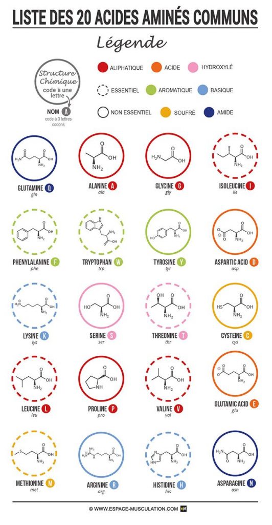 En permettant de récupérer plus rapidement de vos entraînements de ...