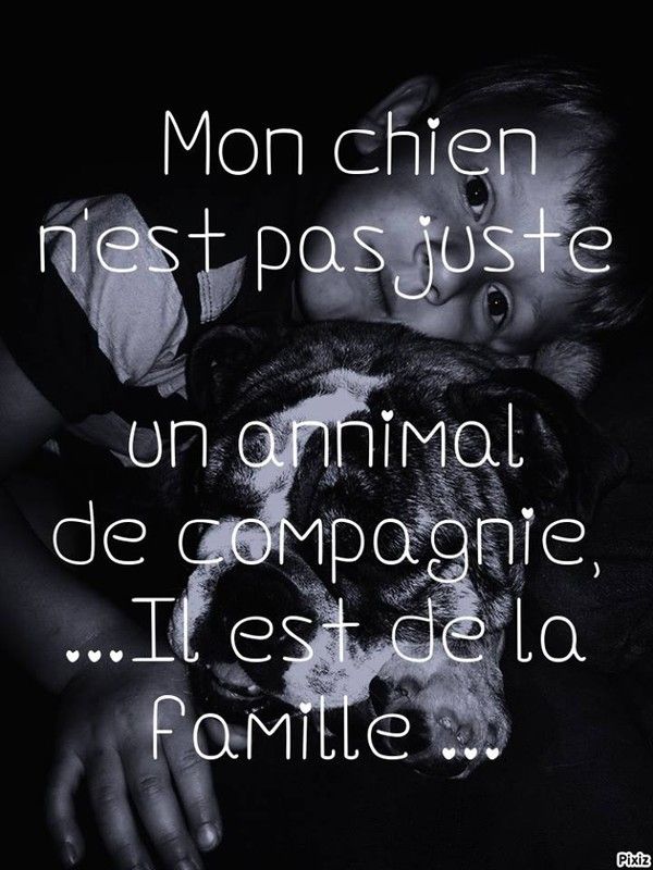 Blog Citation Famille