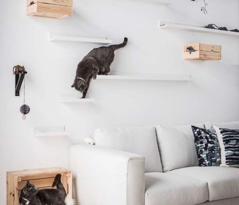 Un Diy Pour Realiser Un Mur D Escalade Pour Chat Pctr Up